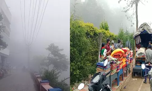 ஏற்காட்டில்  பனிமூட்டம்- கடும் குளிர்