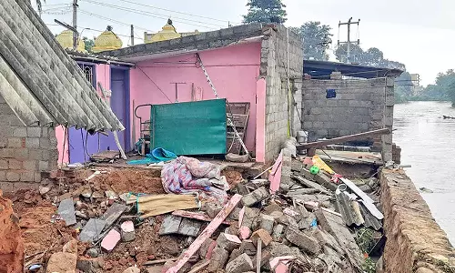 நெல்லையில் கனமழையால் ஏற்பட்ட சேத விவரம் வெளியீடு