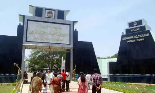 வண்டலூர் பூங்காவில் ஒரே நாளில் 13 ஆயிரம் பேர் குவிந்தனர்