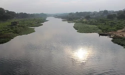 பொருநை எனும் தாமிரபரணி