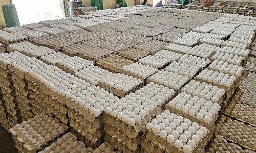 கடைகளில் முட்டை விலை உயர்வு