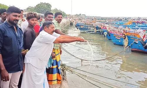 நெல்லை, தூத்துக்குடியில் சுனாமி நினைவு தினம் அனுசரிப்பு: கடலில் பால் ஊற்றி, மலர் தூவி அஞ்சலி