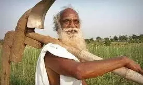 நலம் நல்கும் ரகசியம்