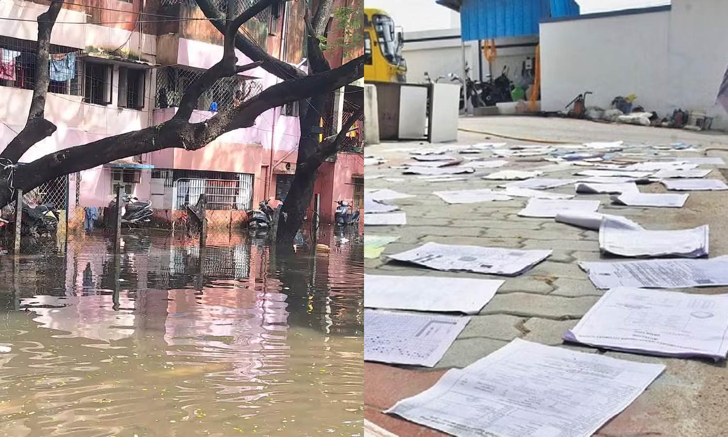 தூத்துக்குடியில் வெள்ளத்தால் பாதிக்கப்பட்டவர்களுக்கு ஆவணங்கள் வழங்க சிறப்பு முகாம்கள்