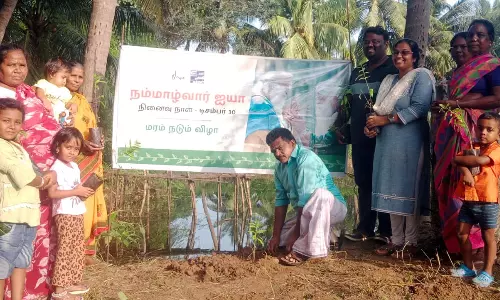 நம்மாழ்வார் நினைவு தினம்- ஒரே நாளில் 1.94 லட்சம் மரக்கன்றுகள் நட்டு விவசாயிகள் சாதனை