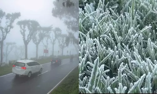 உறைபனியுடன் கடும் பனிமூட்டம் நிலவுவதால் மக்கள் அவதி: சுற்றுலா பயணிகள் விடுதிகளுக்குள்ளேயே முடங்கினர்