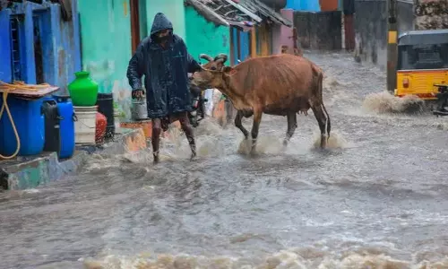 நெல்லையில் 92 சதவீத நிவாரண தொகை வழங்கப்பட்டுள்ளது: கலெக்டர் தகவல்