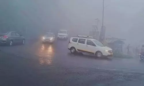 கோவை, நீலகிரியில் கடும் குளிர்- பனிமூட்டத்தால் பொதுமக்கள் தவிப்பு