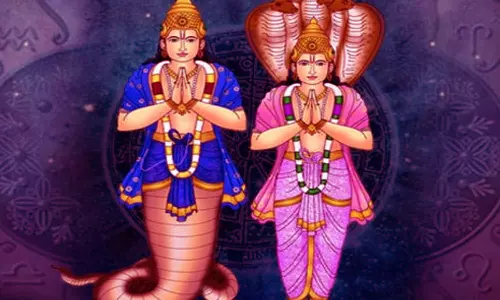 ராகு-கேது சில  தகவல்கள்