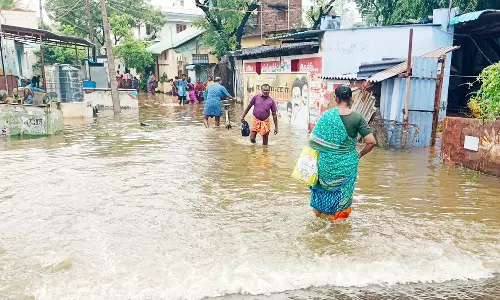 ராஜபாளையத்தில் விடிய, விடிய பலத்த மழை- ஊருக்குள் புகுந்த வெள்ளம்