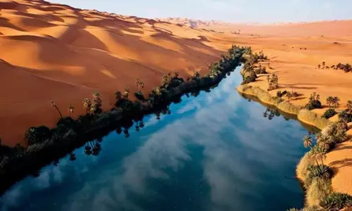 பாலைவனத்தில் பயிர் செய்யலாம்!