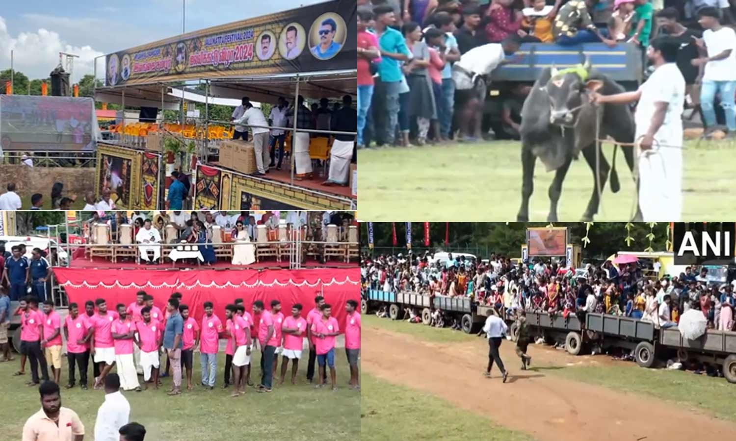 இலங்கை வரலாற்றில் முதன்முறையாக திருகோணமலையில் ஜல்லிக்கட்டு போட்டி