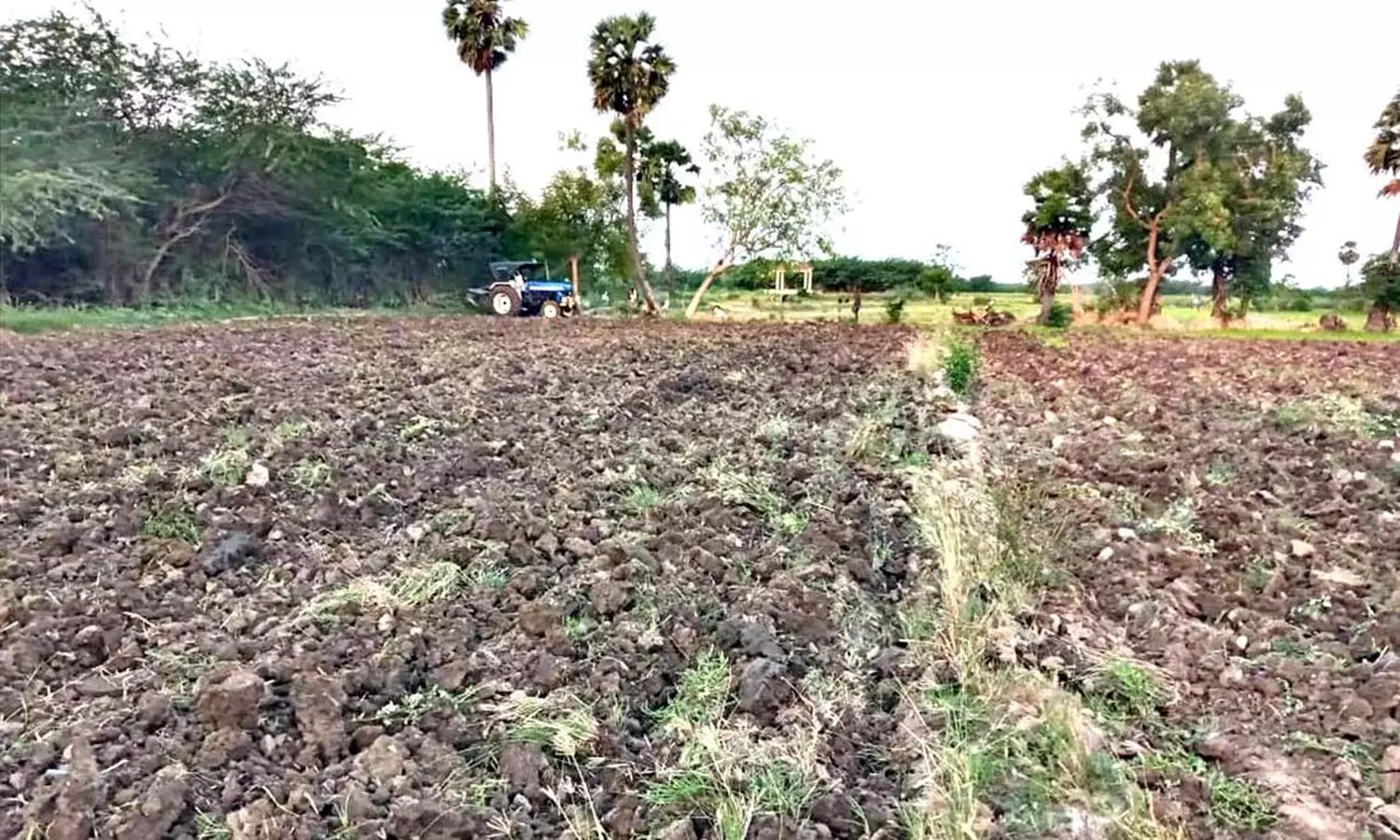 தற்சார்பு வாழ்க்கைக்கு வழி தற்சார்பு வாழ்க்கைக்கு வழி