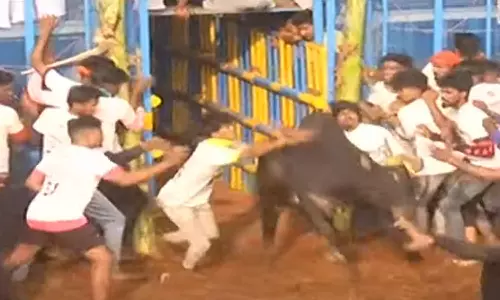 புதுக்கோட்டை தச்சன்குறிச்சியில் ஜல்லிக்கட்டு தொடங்கியது: சீறிப்பாயும் 700 காளைகள்