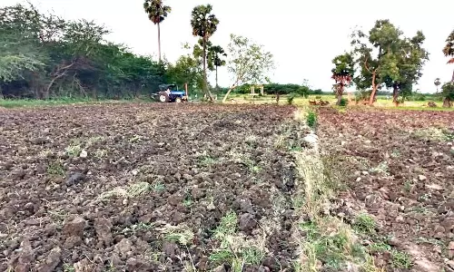 தற்சார்பு வாழ்க்கைக்கு வழி