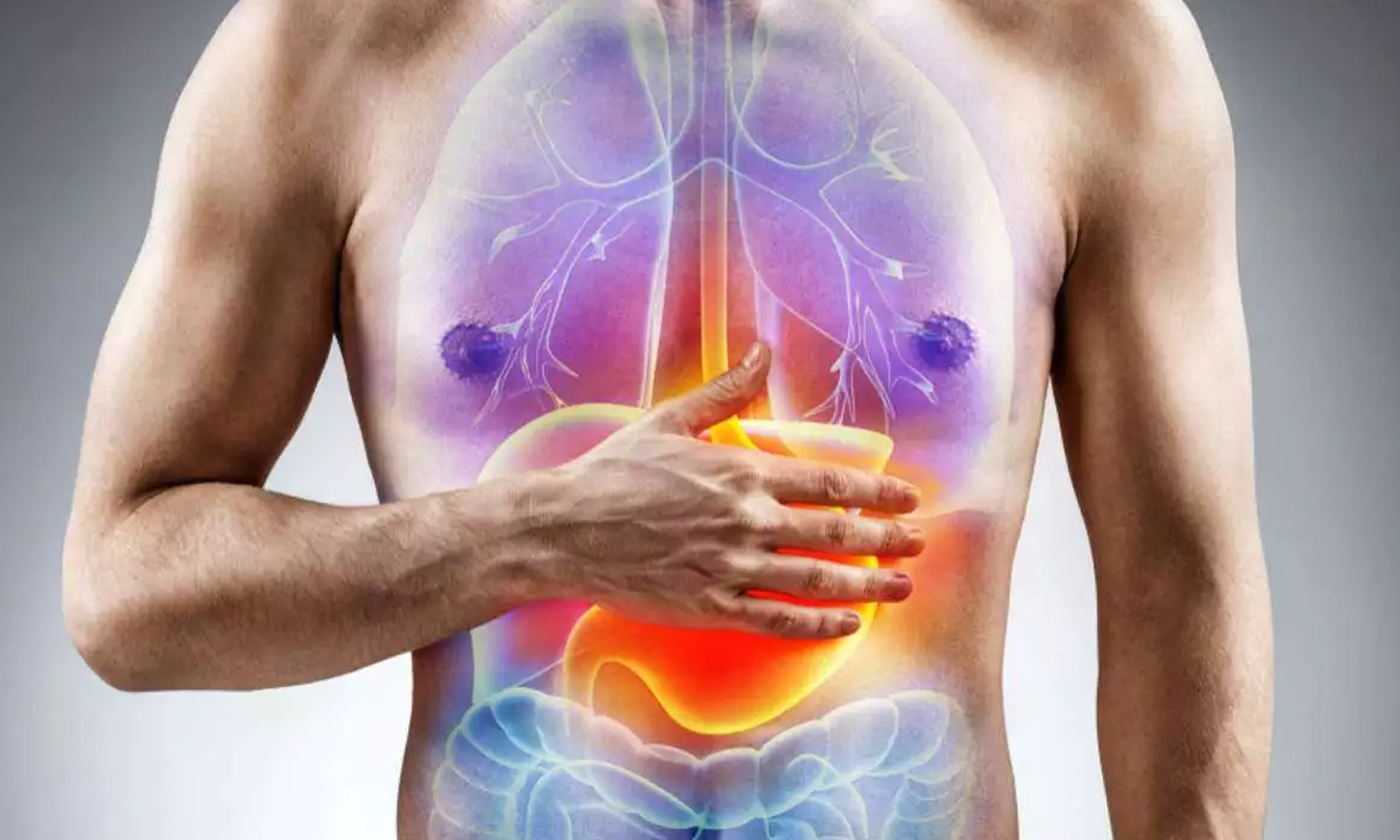 எந்தெந்த உணவுகள் எவ்வளவு நேரத்தில் செரிமானமாகும்..?