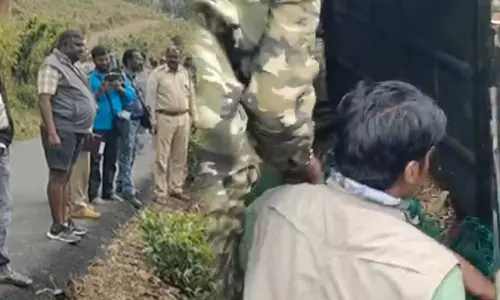 கூடலூர் பகுதியில் மக்களை அச்சுறுத்தி வந்த சிறுத்தை சிக்கியது