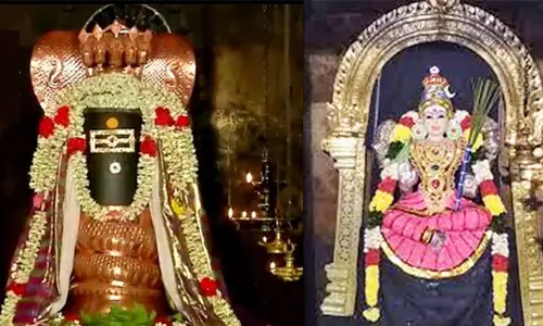 என்னென்ன தோஷங்கள், எப்படி நீங்கும்?