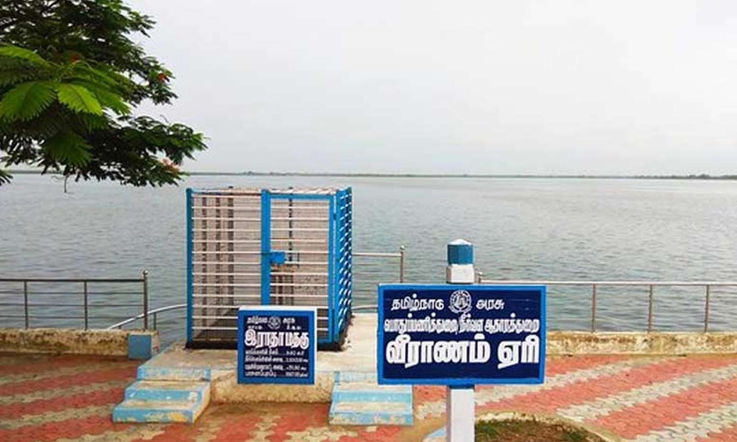 சென்னைக்கு அனுப்பப்படும் வீராணம் ஏரி நீரில் நச்சுக்கள் அதிகரிப்பு- ஆய்வாளர்கள் கண்டுபிடிப்பு