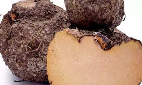 தவிர்க்கக் கூடாத கிழங்கு!