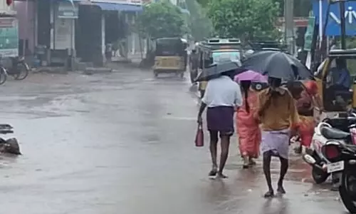 நெல்லை, தென்காசி மாவட்டங்களில் மழை நீடிப்பு