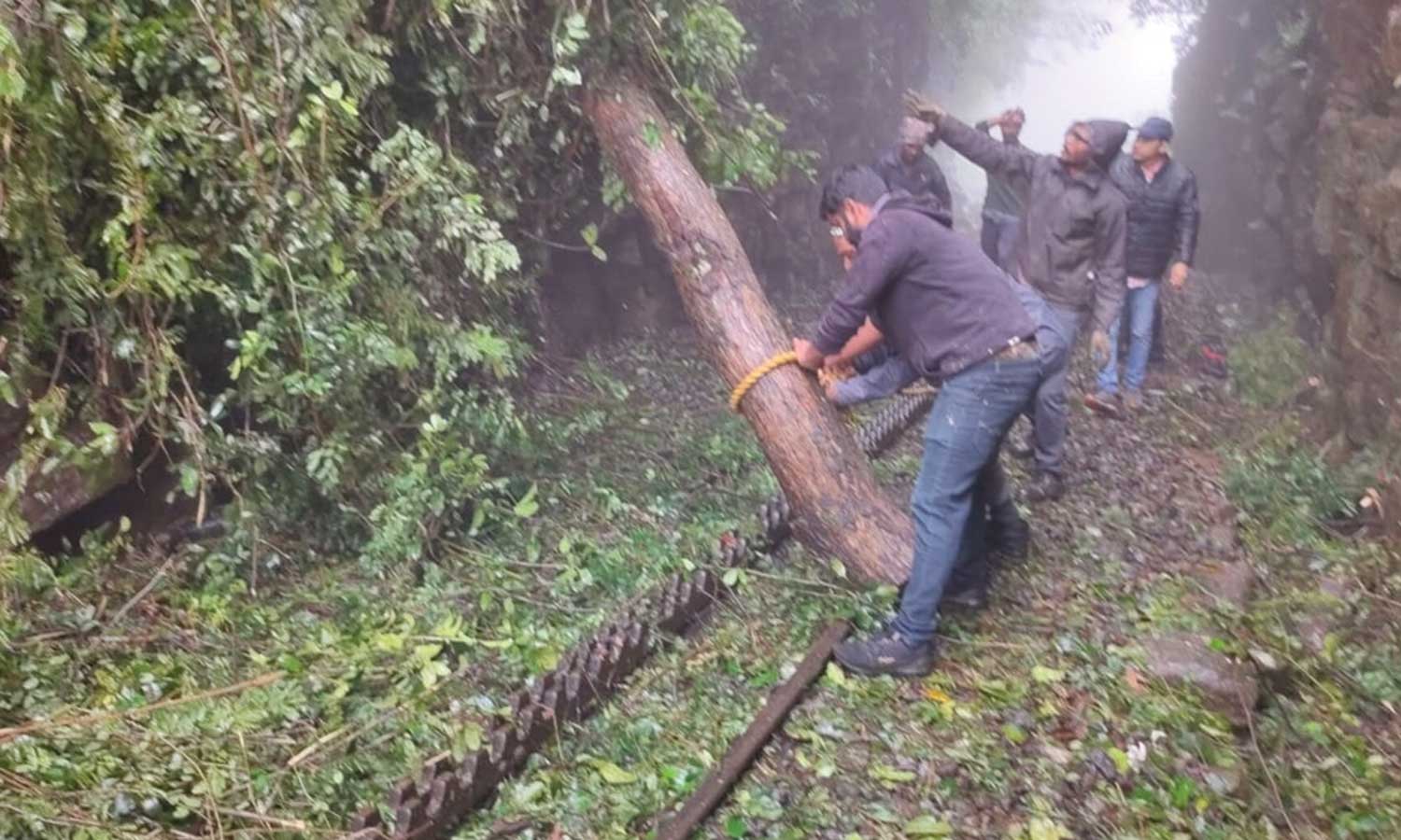 10-க்கும் மேற்பட்ட இடங்களில் மண்சரிவு-மரங்கள் முறிந்து விழுந்தன: மலை ரெயில் இன்று முதல் 2 நாட்கள் ரத்து