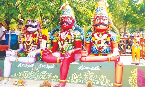 தினந்தோறும் பொங்கல்