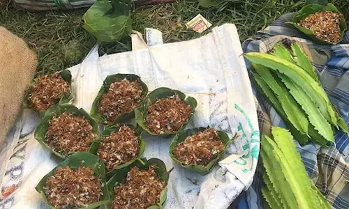 சிவப்பு எறும்பு சட்னிக்கு புவிசார் குறியீடு வழங்கியது மத்திய அரசு