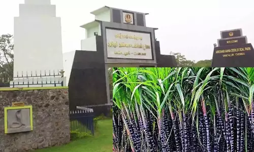 வண்டலூர் உயிரியல் பூங்காவுக்கு கரும்பு எடுத்து வர தடை