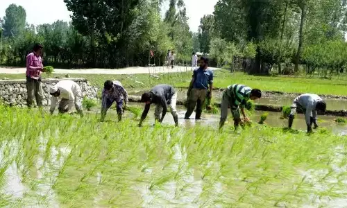 மத்திய இடைக்கால பட்ஜெட்டில் விவசாயிகளுக்கு புதிய அறிவிப்புகள் வெளியாகிறது