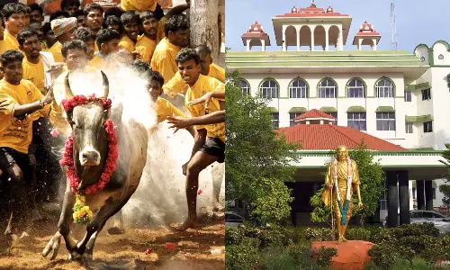 அவனியாபுரம் ஜல்லிக்கட்டுக்கு தடையில்லை: ஐகோர்ட் மதுரைக்கிளை