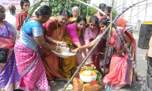 சத்தியமூர்த்தி பவனில் 52 பானைகளில் பொங்கல் வைத்து கொண்டாட்டம்