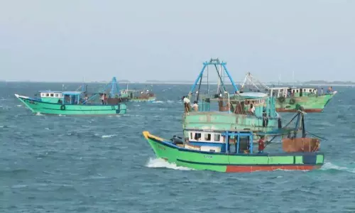 2 நாட்களுக்கு பிறகு கடலுக்கு சென்ற மீனவர்கள்
