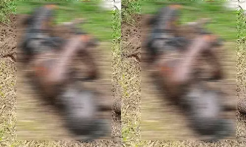 கேரளாவில் மாயமான பாதிரியார் கம்பத்தில் எரித்துக் கொலை?