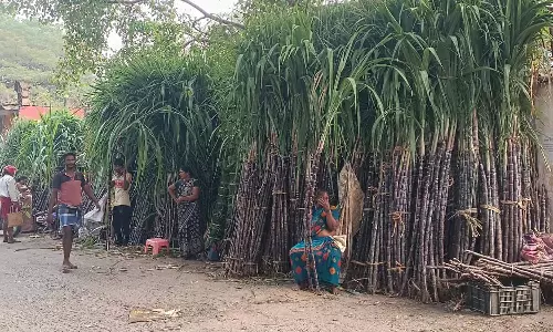 விவசாயிகளிடம் தமிழக அரசு கொள்முதல் செய்ததால் புதுச்சேரியில் ஒரு ஜோடி கரும்பு ரூ.200-க்கு விற்பனை
