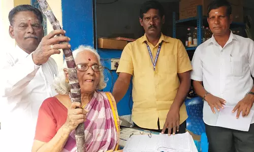 மாலைமலர் செய்தி எதிரொலி: மூதாட்டிக்கு பொங்கல் பரிசு வழங்கப்பட்டது