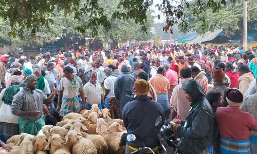 போச்சம்பள்ளி வாரசந்தையில் ரூ.1 கோடிக்கு ஆடுகள்  விற்பனை: வியாபாரிகள் மகிழ்ச்சி