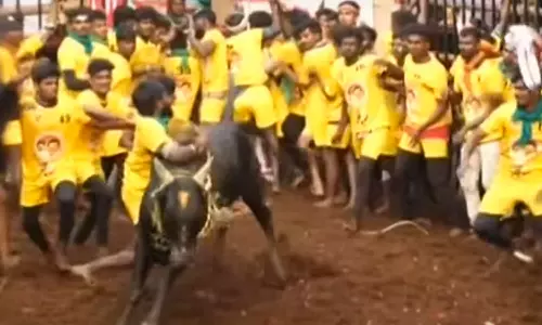 அவனியாபுரம் ஜல்லிக்கட்டு போட்டி: மீண்டும் தொடங்கியது