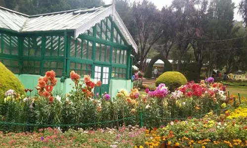 ஊட்டி தாவரவியல் பூங்காவில் குவிந்த சுற்றுலா பயணிகள்