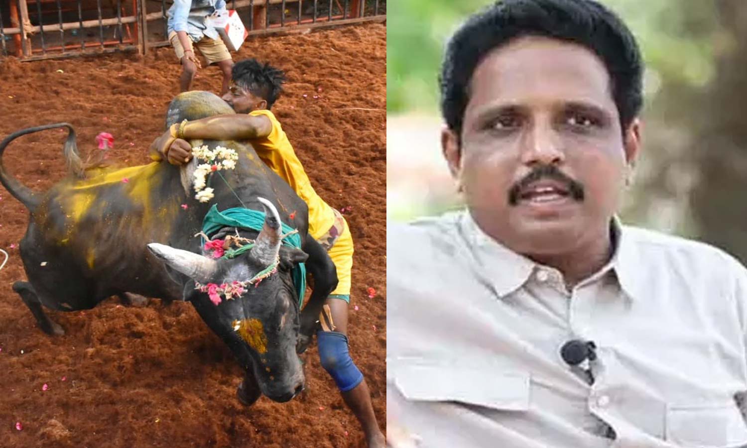 ஏறுதழுவல் என்னும் ஜல்லிக்கட்டின் வரலாற்றை மாற்ற நினைக்கிறது ஒரு கூட்டம்... சு.வெங்கடேசன்