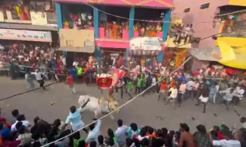 மாரண்டஅள்ளியில் மாட்டு பொங்கலையொட்டி மஞ்சு விரட்டு