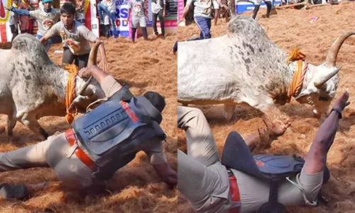 அலங்காநல்லூர் ஜல்லிக்கட்டு: சீறிப்பாய்ந்த காளை முட்டி போலீஸ்காரர் படுகாயம்