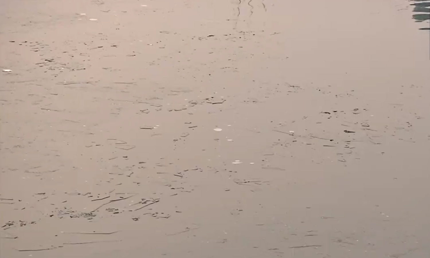 கடும் குளிர் எதிரொலி: உறைந்து கிடக்கும் காஷ்மீரின் தால் ஏரி