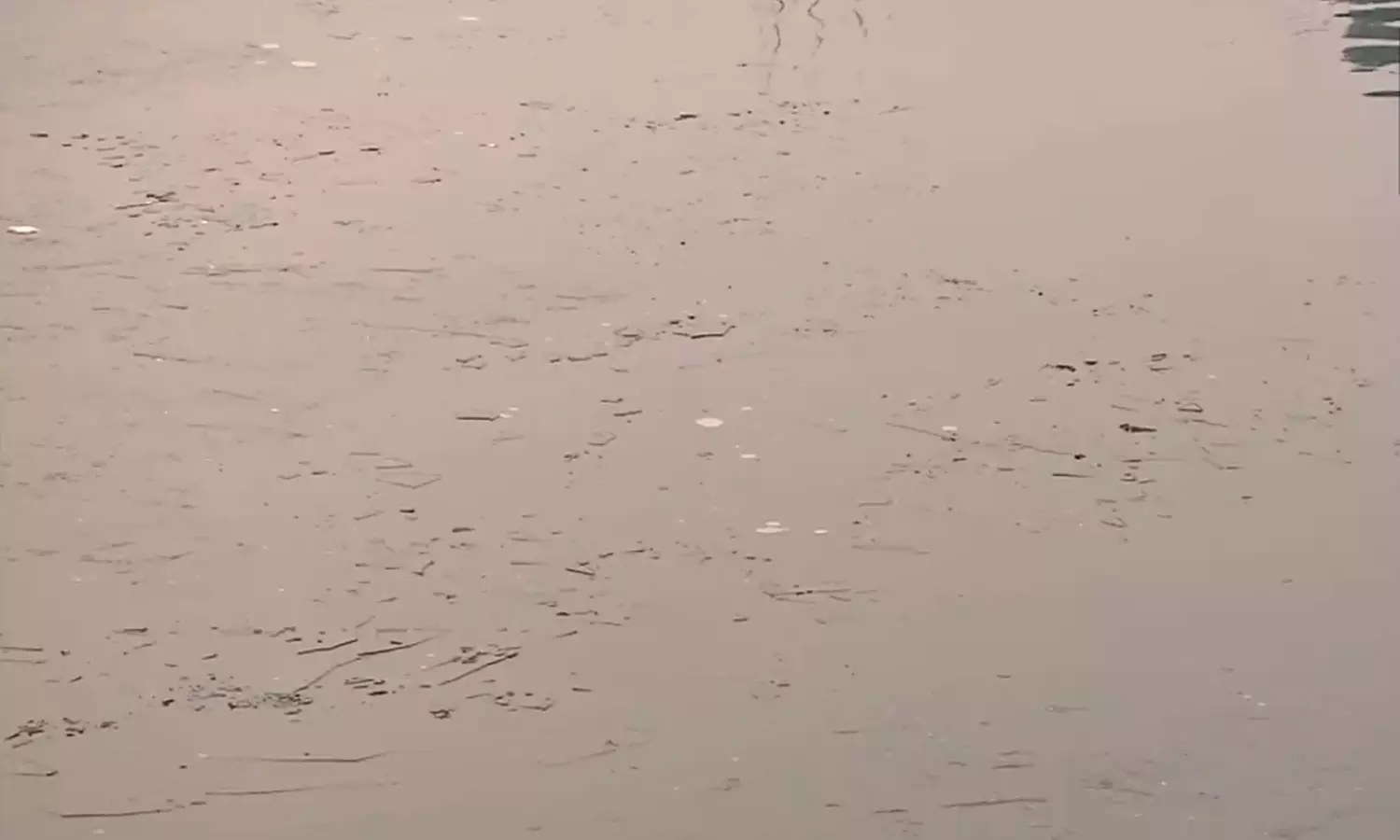 கடும் குளிர் எதிரொலி: உறைந்து கிடக்கும் காஷ்மீரின் தால் ஏரி கடும் குளிர் எதிரொலி: உறைந்து கிடக்கும் காஷ்மீரின் தால் ஏரி