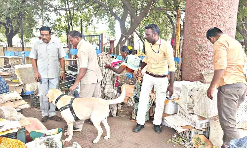 பிரதமர் வருகை எதிரொலி: மீனாட்சி அம்மன் கோவில், மாட்டுத்தாவணி பஸ் நிலையத்தில் வெடிகுண்டு தடுப்பு சோதனை