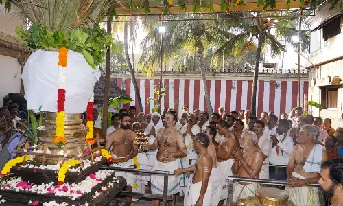 நாகராஜா கோவில் தை பெருந்திருவிழாவில் பங்கேற்ற விஜய் வசந்த் எம்.பி.