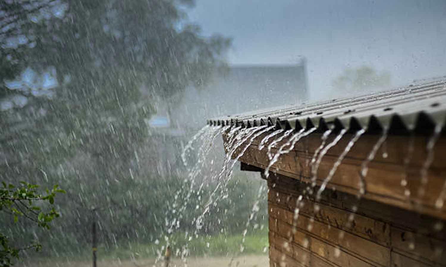 நெல்லை, தென்காசி மாவட்ட அணைப்பகுதிகளில் மழை நீடிப்பு