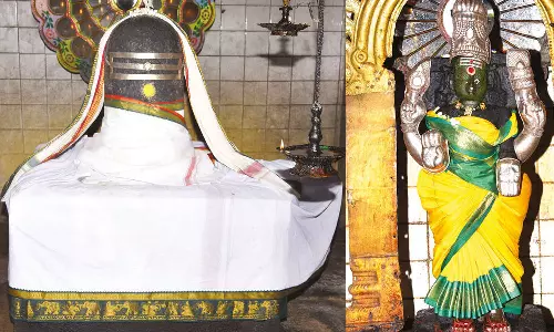 தேனீக்கள் தேனால் அபிஷேகம் செய்த மதுவனேசுவரர்