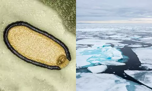 ஆர்க்டிக் பனிக்கட்டிகளில் புதைந்து இருக்கும் ஜாம்பி வைரஸ்களால் ஆபத்து?