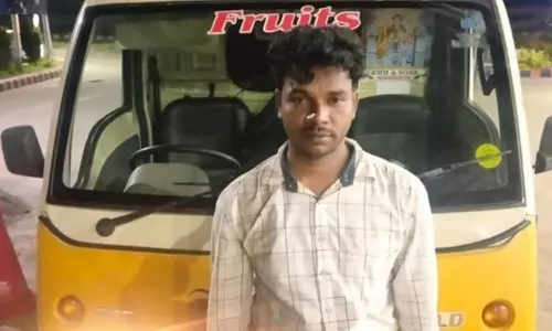 சரக்கு வாகனத்தை திருடிய சென்னை வாலிபர் கைது